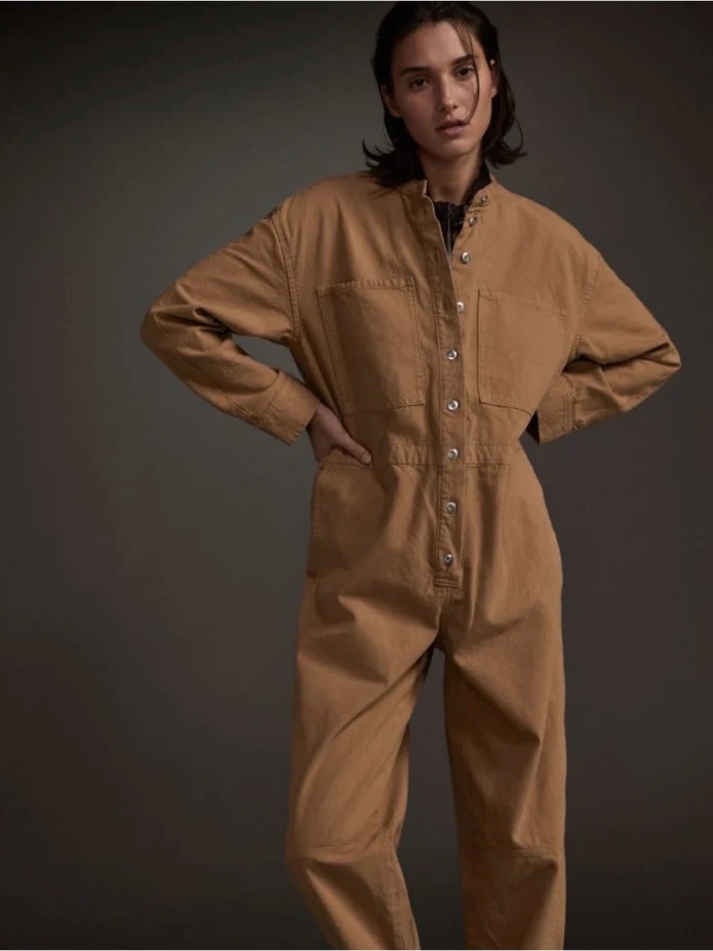 Everlane Tan Cotton Utility Jumpsuit